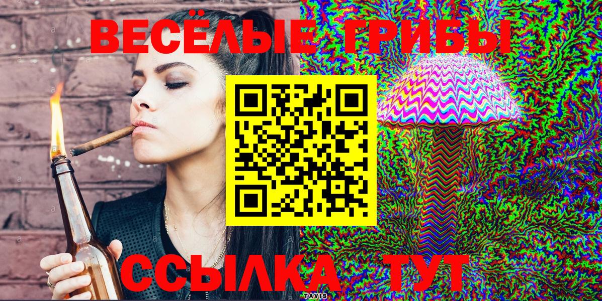 Псилоцибиновые грибы Psilocybe Рубцовск